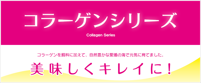 コラーゲンシリーズ　美味しくキレイに！