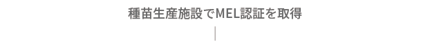 種苗生産施設でMEL認証を取得