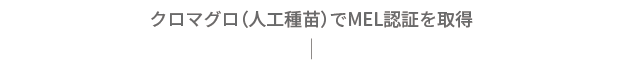 クロマグロ（人工種苗）でMEL認証を取得