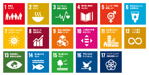 Sustainable Development Goals 17のゴール