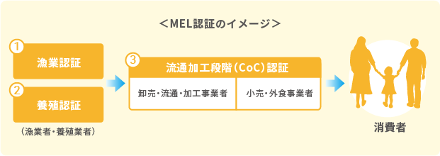 MEL認証のイメージ/①漁業認証 ②養殖認証(漁業者・養殖業者) → ③流通加工段階(CoC)認証(卸売・流通・加工事業者) → ③流通加工段階(CoC)認証(小売・外食事業者)→ 消費者