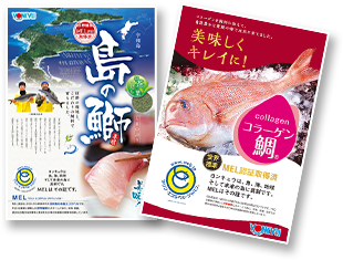 島の鰤ポスター/コラーゲン鯛ポスター