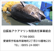 日振島アクアマリン有限責任事業組合 〒798-0087 愛媛県宇和島市築地町2丁目318番地235 TEL:0895-24-0001