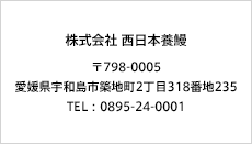 株式会社 西日本養鰻 〒798-0005 愛媛県宇和島市築地町2丁目318番地235 TEL:0895-24-0001