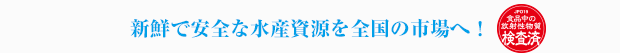 天然物により近い健康な養殖魚、それがヨンキュウブランドです！