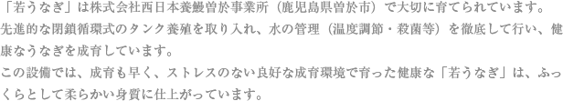 「若うなぎ」は株式会社西日本養鰻曽於事業所（鹿児島県曽於市）で大切に育てられています。溶存酸素を高める機材を導入した本格的な閉鎖循環式のタンク養殖を取り入れ、水の管理（温度調節・殺菌等）を徹底して行い、健康なうなぎを成育しています。この業界一の設備は、通常の養殖スタイルに比べて成育も早く、ストレスのない良好な成育環境で育った健康な「若うなぎ」は、ふっくらとして柔らかい身質に仕上がっています。