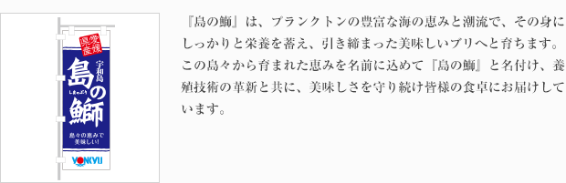 『島の鰤』は、プランクトンの豊富な海の恵みと潮流で、その身にしっかりと栄養を蓄え、引き締まった美味しいブリへと育ちます。この島々から育まれた恵みを名前に込めて『島の鰤』と名付け、養殖技術の革新と共に、美味しさを守り続け皆様の食卓にお届けしています。