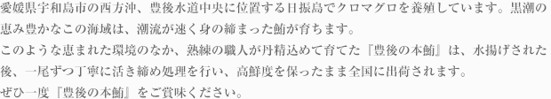 愛媛県宇和島市の西方沖、豊後水道中央に位置する日振島でこの『日振のトロ鮪』は育っています。黒潮の恵み豊かなこの海域は、潮流が速く身の締まった鮪が健康に育ちます。このような恵まれた環境のなか、熟練の職人が丹精込めて育てた『日振のトロ鮪』は、水揚げされた後、一尾ずつ丁寧に活き締め処理を行い、高鮮度を保ったまま全国に出荷されます。ぜひ一度『日振のトロ鮪』をご賞味ください。