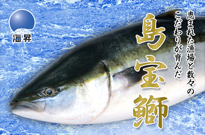 恵まれた漁場と数々のこだわりが育んだ島宝鰤