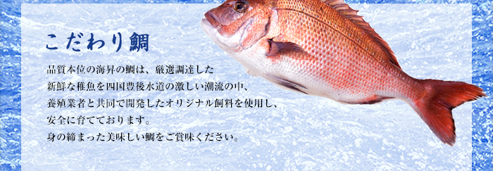 こだわり鯛　品質本位の海昇の鯛は、厳選調達した新鮮な稚魚を四国豊後水道の激しい潮流の中、養殖業者と共同で開発したオリジナル飼料を使用し、安全に育てております。身の締まった美味しい鯛をご賞味ください。