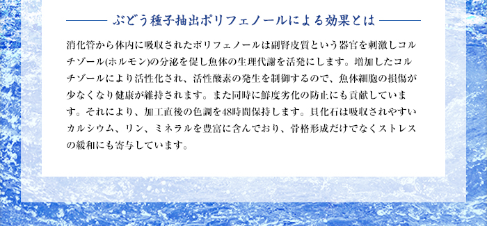 ぶどう種子抽出ポリフェノールによる効果とは　消化管から体内に吸収されたポリフェノールは副腎皮質という器官を刺激しコルチゾール(ホルモン)の分泌を促し魚体の生理代謝を活発にします。増加したコルチゾールにより活性化され、活性酸素の発生を制御するので、魚体細胞の損傷が少なくなり健康が維持されます。また同時に鮮度劣化の防止にも貢献しています。それにより、加工直後の色調を48時間保持します。貝化石は吸収されやすいカルシウム、リン、ミネラルを豊富に含んでおり、骨格形成だけでなくストレスの緩和にも寄与しています。