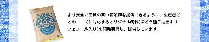 より安全で品質の高い養殖鰤を提供できるように、生産者ごとのニーズに対応するオリジナル飼料(ぶどう種子抽出ポリフェノール入り)を開発研究し、提供しています。