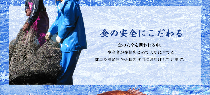 食の安全にこだわる　食の安全を問われる中、生産者が愛情をこめて大切に育てた健康な養殖魚を皆様の食卓にお届けしています。