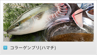 リンク：コラーゲンブリ