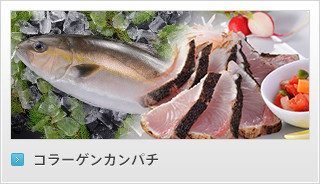リンク：コラーゲンカンパチ