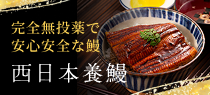 リンク：西日本養鰻