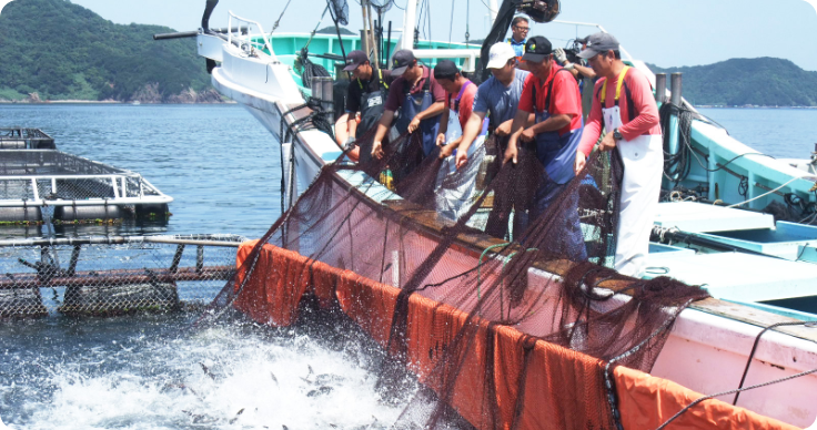 イメージ：蒋淵魚類養殖生産者協議会