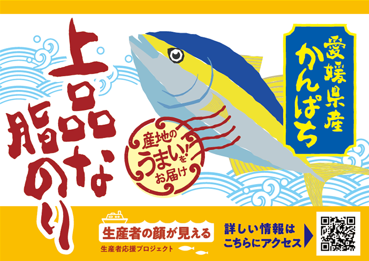 産地のうまい!をお届け 愛媛県産かんぱち 上品な脂のり