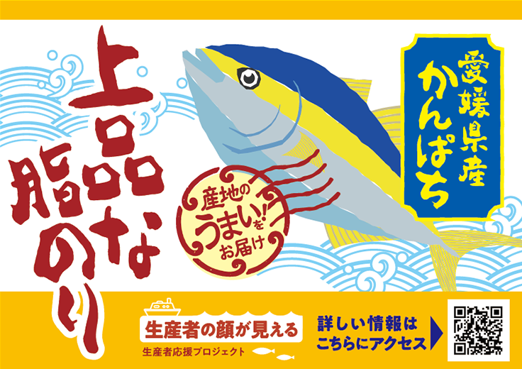 産地のうまい！をお届け　愛媛県産かんぱち　上品な脂のり