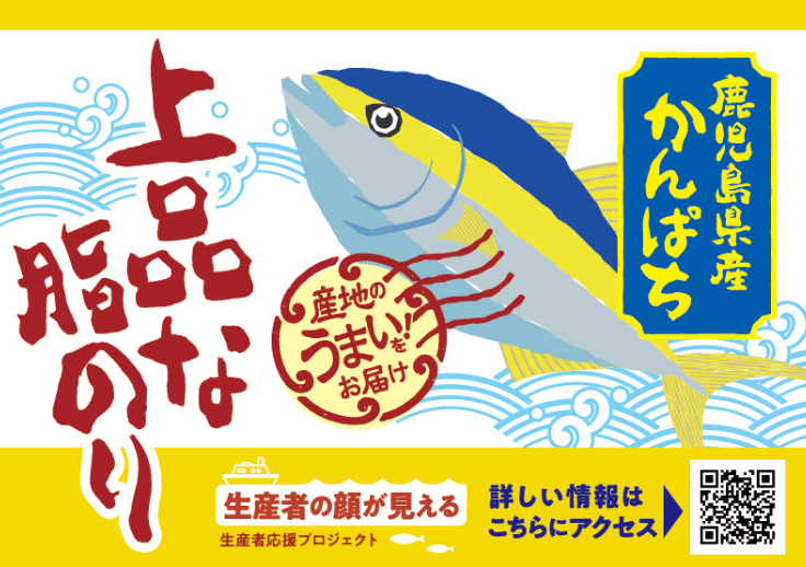 産地のうまい！をお届け　鹿児島県産かんぱち　上品な脂のり