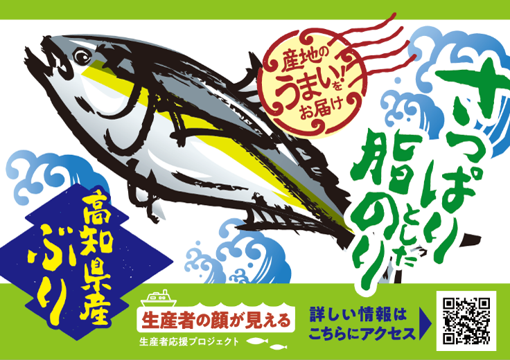 産地のうまい！をお届け　高知県産ぶり　さっぱりとした脂のり