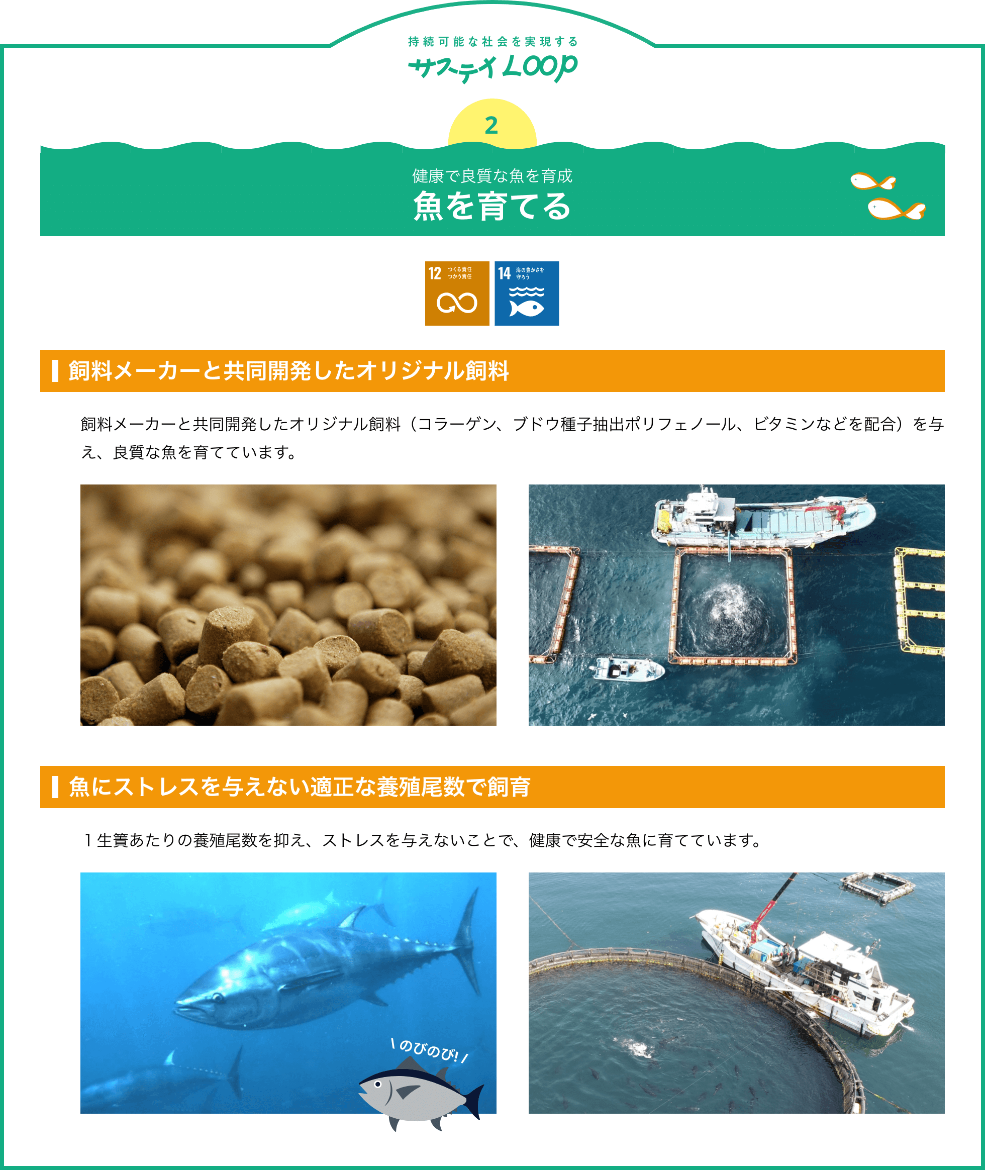 魚を育てる