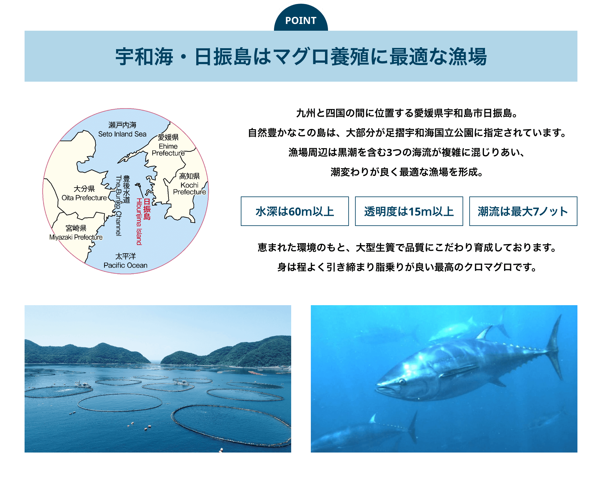 自社種苗センターによる完全養殖