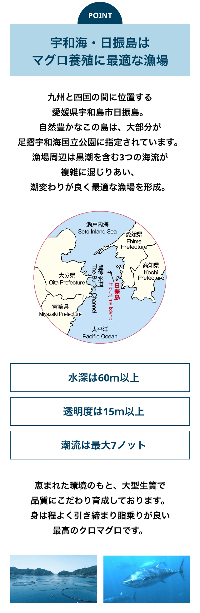 自社種苗センターによる完全養殖